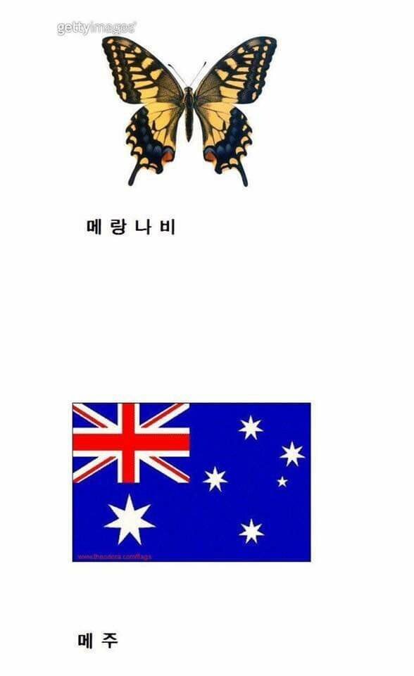 호날두 사건 이후로 변경된 명칭.jpg_1.jpg