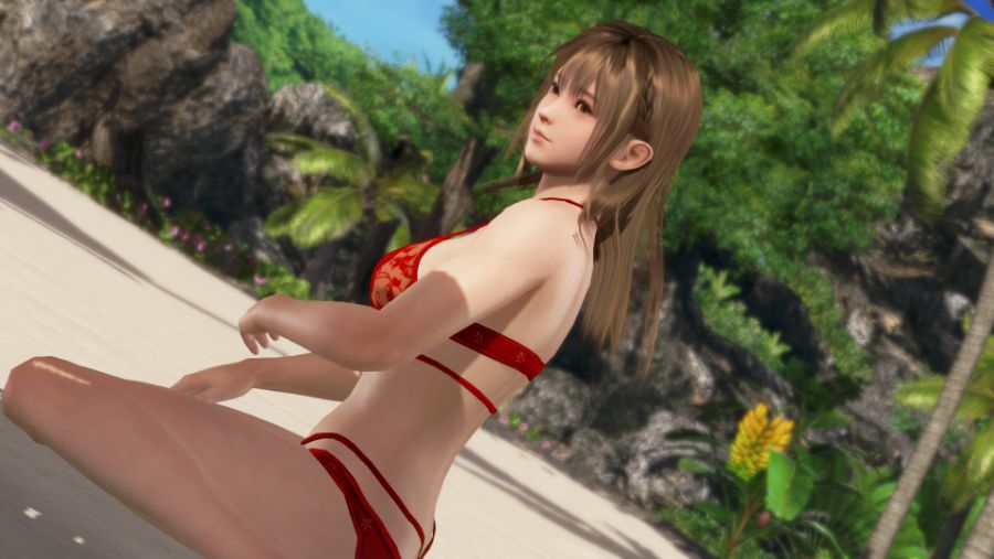 DEAD OR ALIVE Xtreme 3 Fortune_20190803112419.png