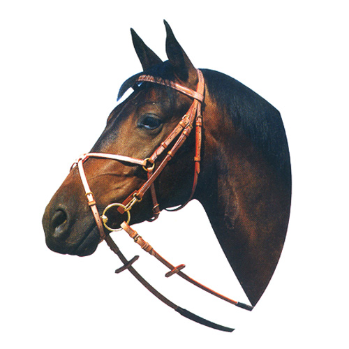 말이라는 생물이 전투병기로 진화하는 과정. (6편)_5.jpg