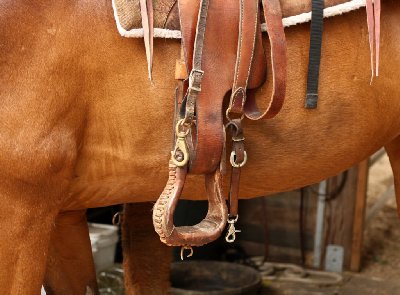 말이라는 생물이 전투병기로 진화하는 과정. (6편)_12.jpg