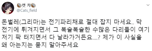 돈벌레는 전기 파리채로 잡지 마세요.jpg_1.jpg