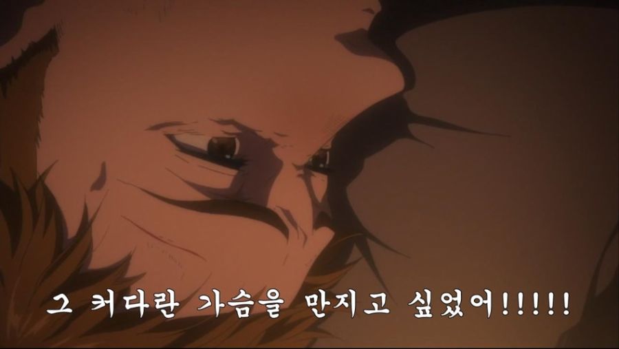 잔다르크 실제 외모에 대한 기록_3.jpg