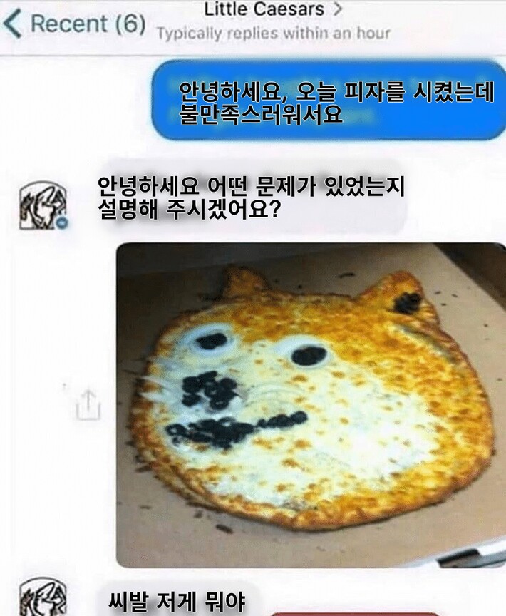피자 시켰는데 불만족스러워서 문의했더니 욕함_1.jpg
