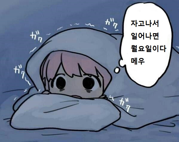 [데이터주의] 내 폰 갤러리에 짤방으로 모아둔 것들_30.jpg