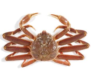 [데이터주의] 내 폰 갤러리에 짤방으로 모아둔 것들_139.jpg