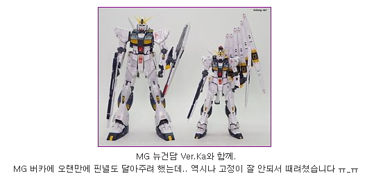 달롱넷 RG뉴건담 리뷰 떴네_1.png