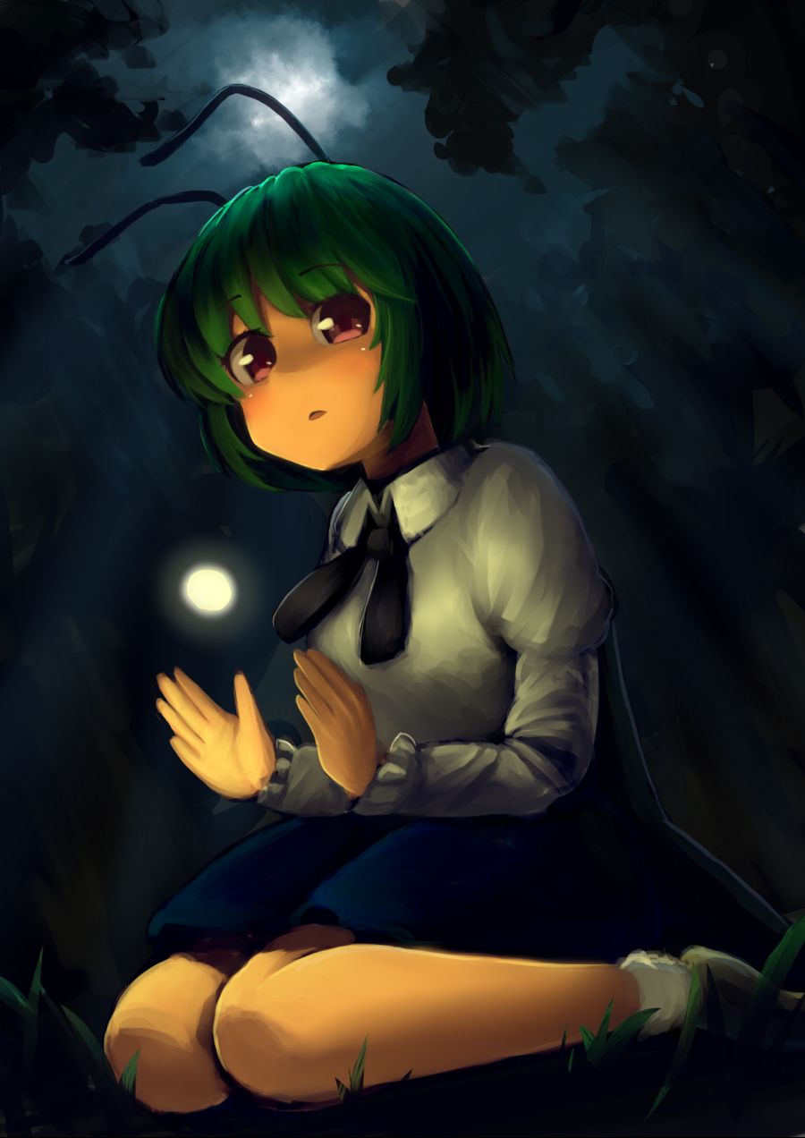 __wriggle_nightbug_imperishable_night_and_etc_drawn_by_saisoku_no_yukkuri__1f6a7b3a8f29e03b1680c38d8544253c.png