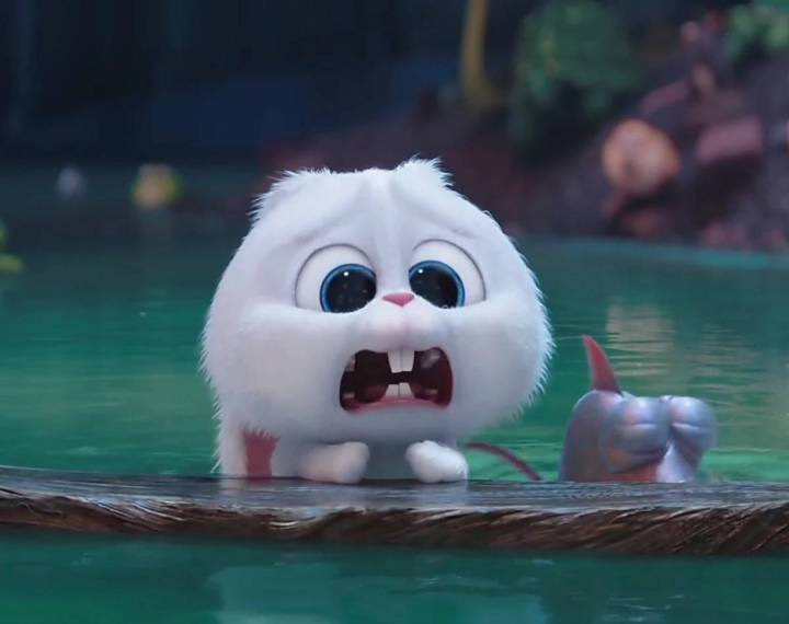 혼자하기 씜씜해요...._1.jpeg