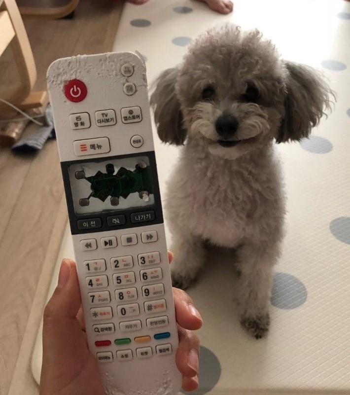 내가 했다. 그래서 어쩔건데 :)_1.jpg