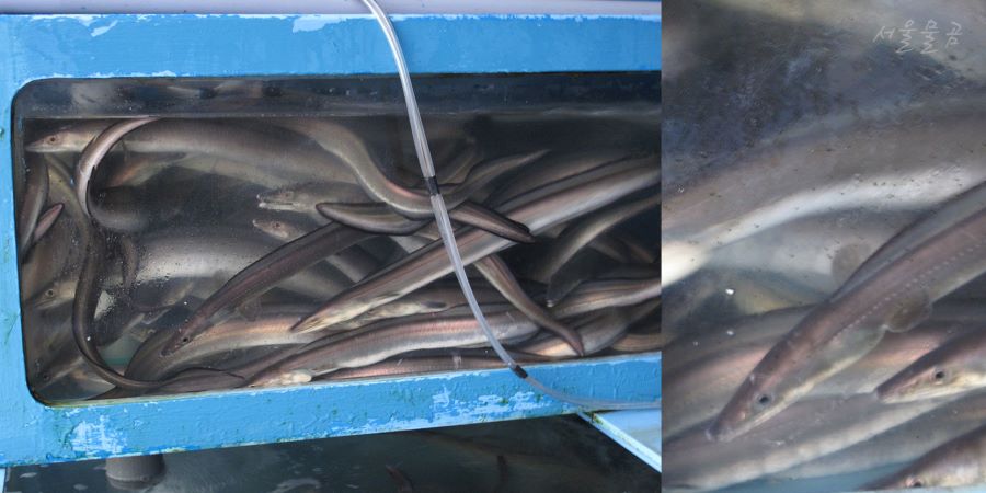 10년전 여수 맛기행 with 교포 girl_22.jpg