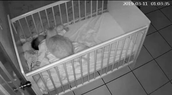 울아빠가 고양이 싫어하는 이유_1.jpg