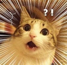 영화 '조커' 연출한 감독 전작이 .... ㅎㅎ_2.jpg