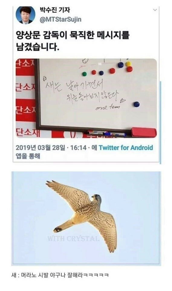 새는 뒤를 돌아보지 않는다._1.jpg