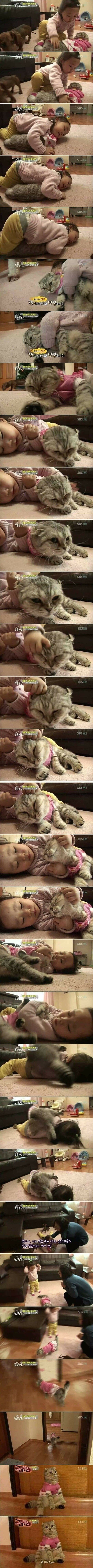 극한직업 고양이 편.jpg_1.jpg