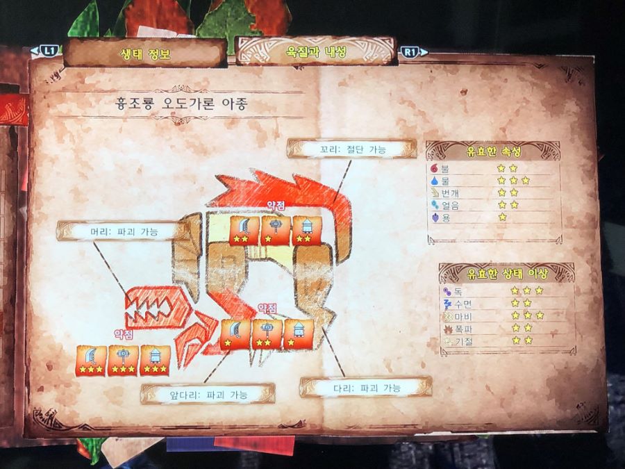 오도가론 아종_몬스터정보_1.jpg