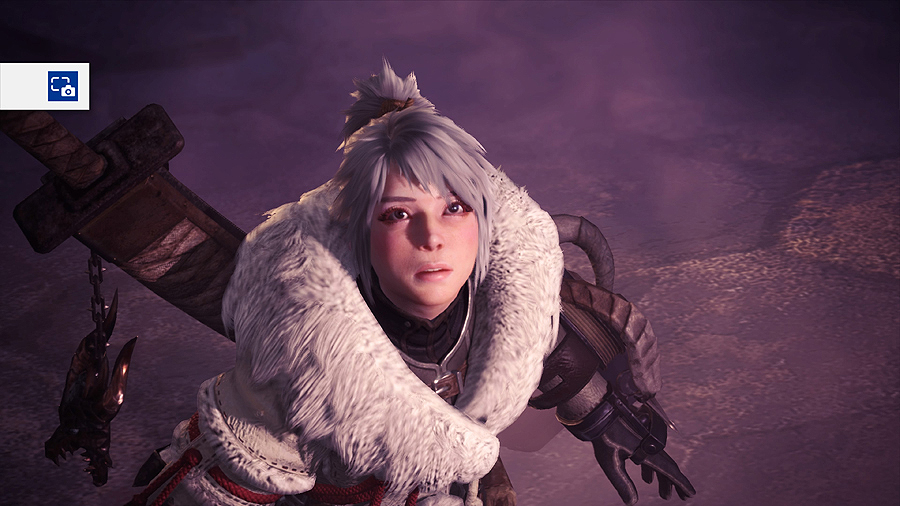 Monster Hunter World_ Iceborne_20190908021627.jpg