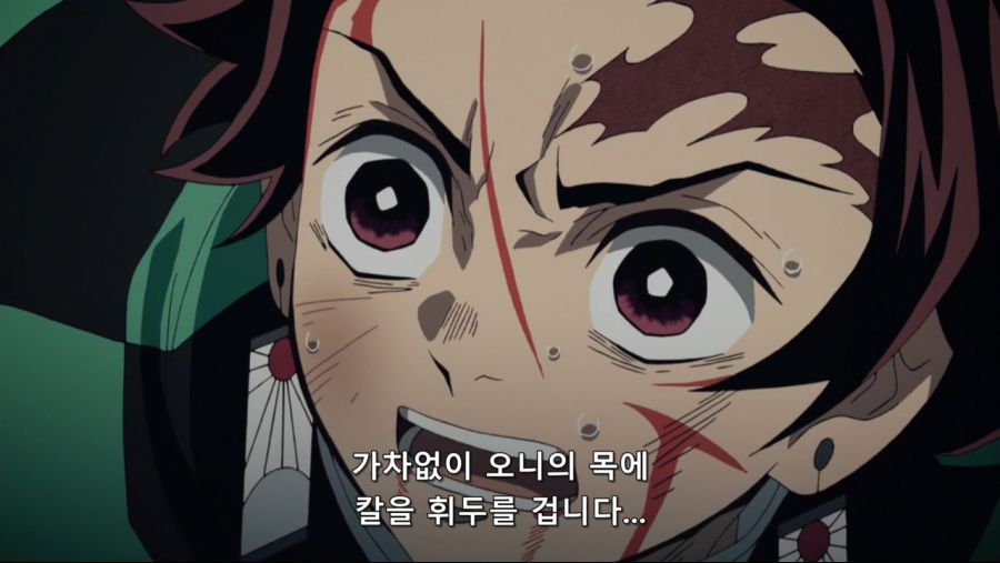 귀멸의 칼날 - 인간을 해친 오니이기에 베고 한때 인간이었기에 동정심을 품는다._8.jpg