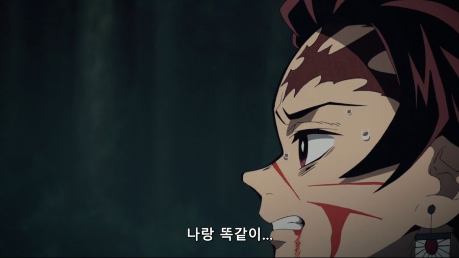 귀멸의 칼날 - 인간을 해친 오니이기에 베고 한때 인간이었기에 동정심을 품는다._14.jpg