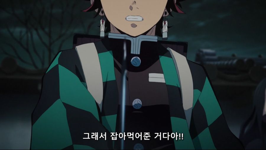 귀멸의 칼날 - 인간을 해친 오니이기에 베고 한때 인간이었기에 동정심을 품는다._119.jpg