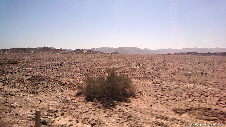 페루 여행기 - 그림과 모래와 새_4.jpg