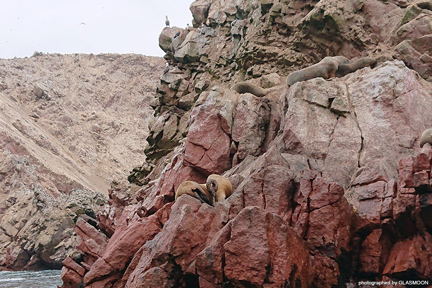 페루 여행기 - 그림과 모래와 새_52.jpg