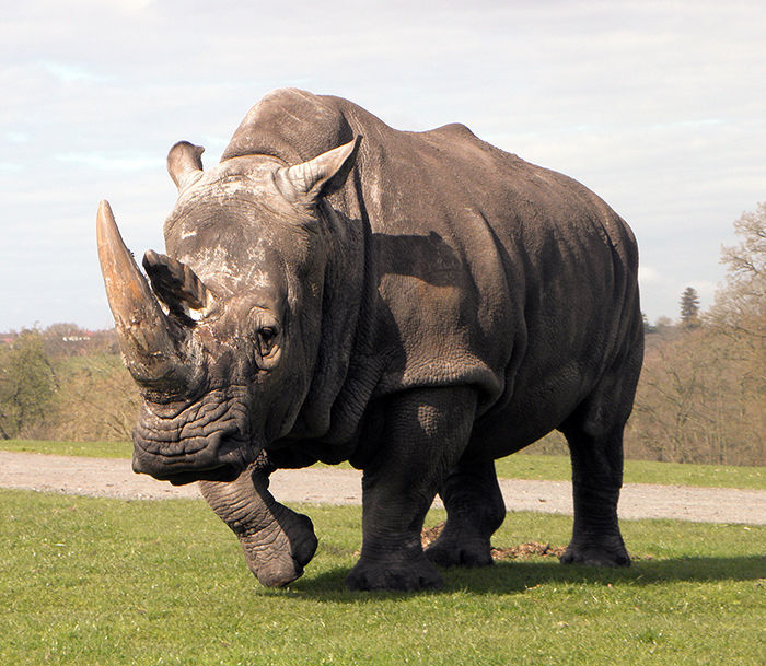 동물 유전자의 신비_2.jpeg