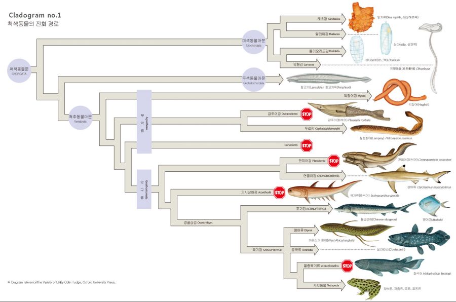지구상에서 생물학적으로 가장 위엄 쩌는 생물_3.jpg