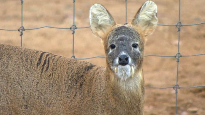 외국인들이 한국 오면 놀라는것_6.jpeg
