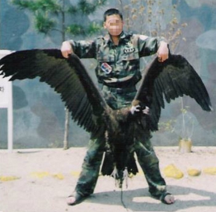 외국인들이 한국 오면 놀라는것_7.jpeg