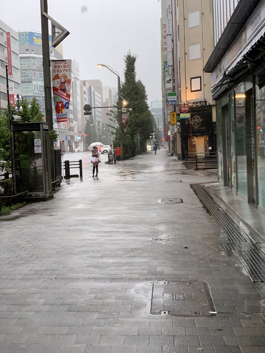 베스트에 있는 아키하바라 메이드씨 정체_1.jpg