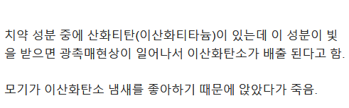 수면전 모기 대처법_2.png