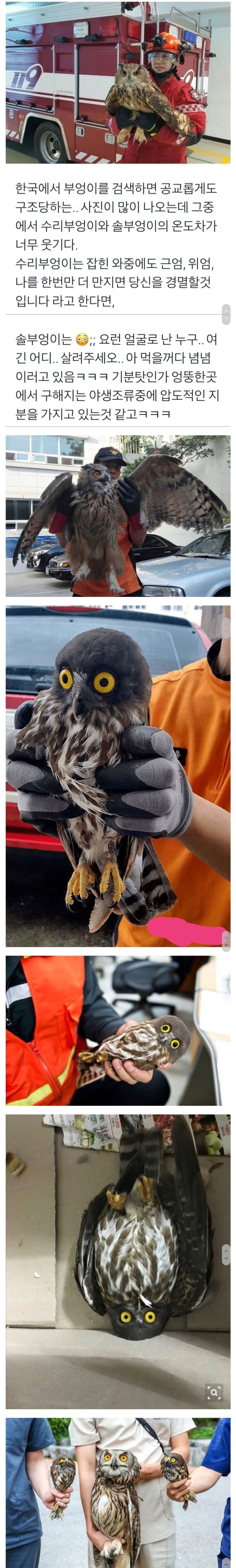 간지 vs 커엽_1.jpg