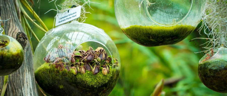 F1(패독클럽) 싱가포르 여행 후기 -스크롤 용량 주의-_55.jpg