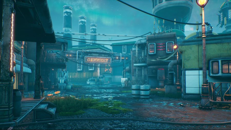 아우터 월드하면서 찍은 경치들_1.jpg