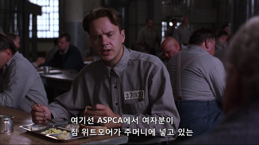 The.Shawshank.Redemption.1994.Bluray.1080p.TrueHD.x264-Grym.mkv_20191103_231231.048.jpg