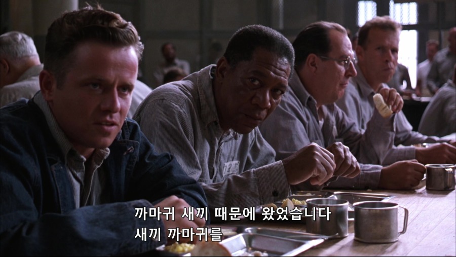 The.Shawshank.Redemption.1994.Bluray.1080p.TrueHD.x264-Grym.mkv_20191103_231235.768.jpg