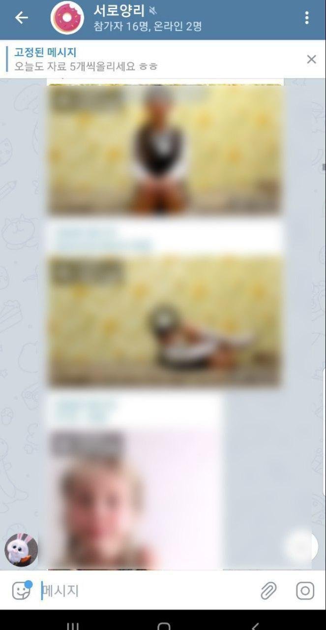 ma약 로li 공유 텔레그램방 터짐_10.jpeg