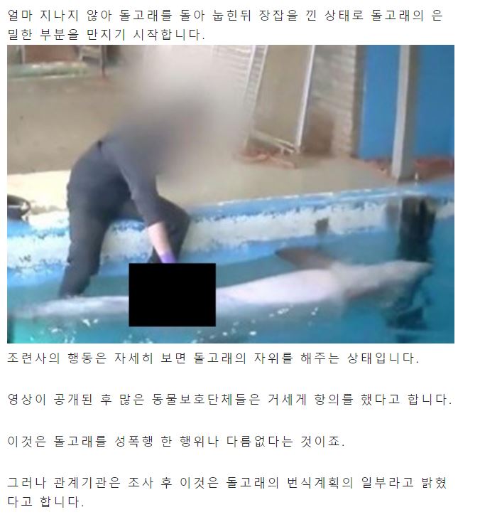 충격주의) 돌고래 ㅂㅈ를 진짜 만지는 사람이 있다?!.jpg | (백업)유머 게시판(2018-2020) | RULIWEB 충격주의) 돌고래 ㅂㅈ를 진짜 만지는 사람이 있다?!.Jpg | (백업)유머 게시판(2018-2020) | Ruliweb