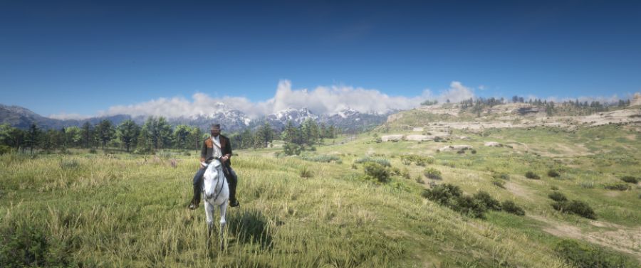 Red Dead Redemption II Screenshot 2019.11.16 - 14.26.14.35.png