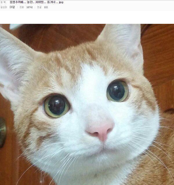 얘 품번 뭐야?_1.jpg