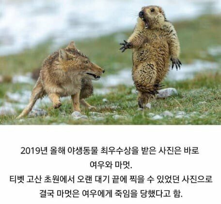 KakaoTalk_20191118_221235018.jpg