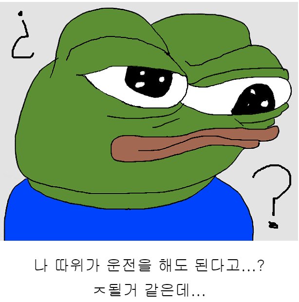 차 몰기 시작해서 1주일차 소감_1.png