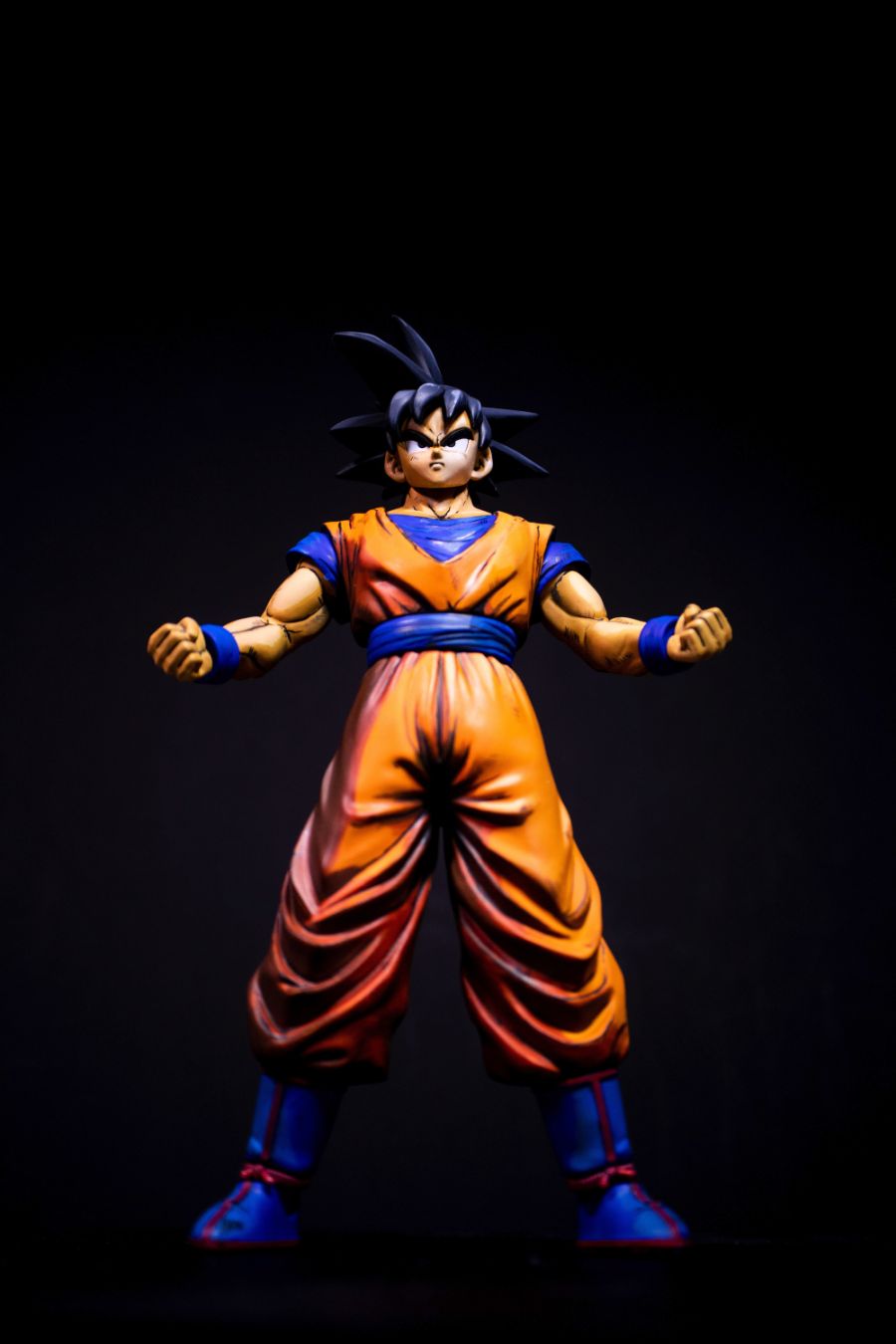 songoku-8.jpg