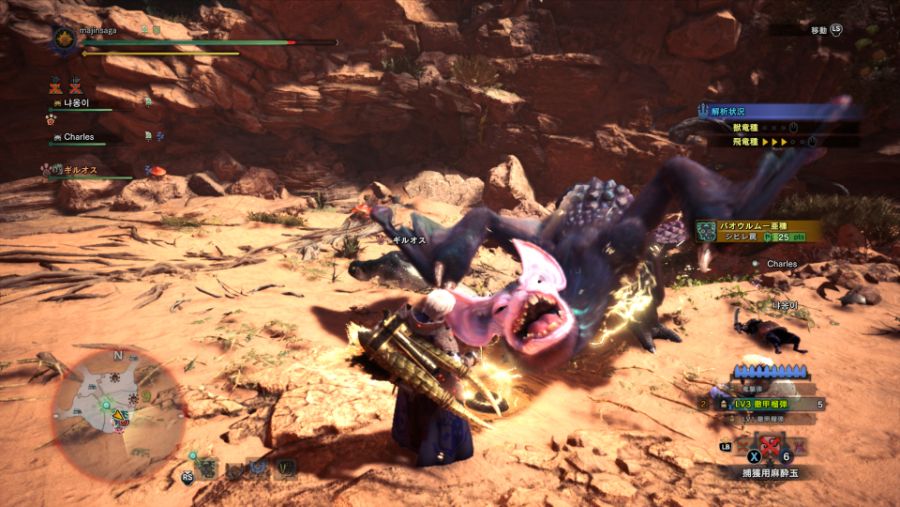 Monster Hunter World_ Iceborne 2019-11-30 15-01-47.jpg