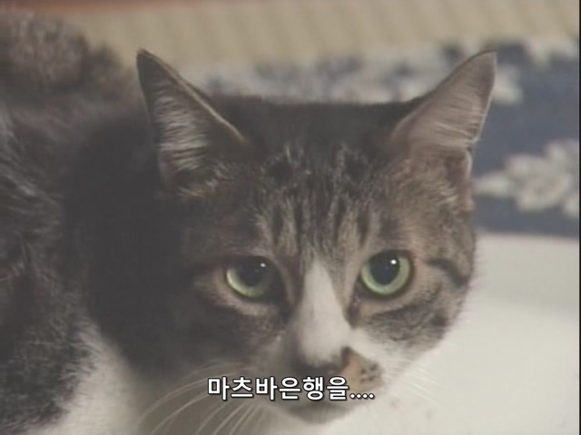 니트족이 주식으로 인생역전하는 스토리 최종화_132.jpg