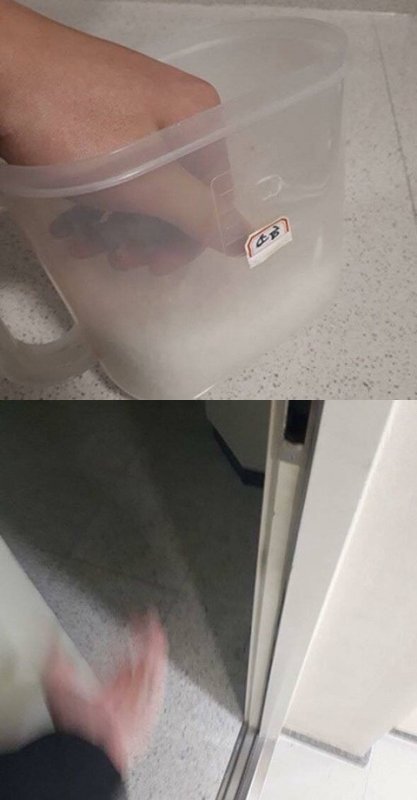 유게에서 쓸 혐오하는짤.JPG_2.jpg