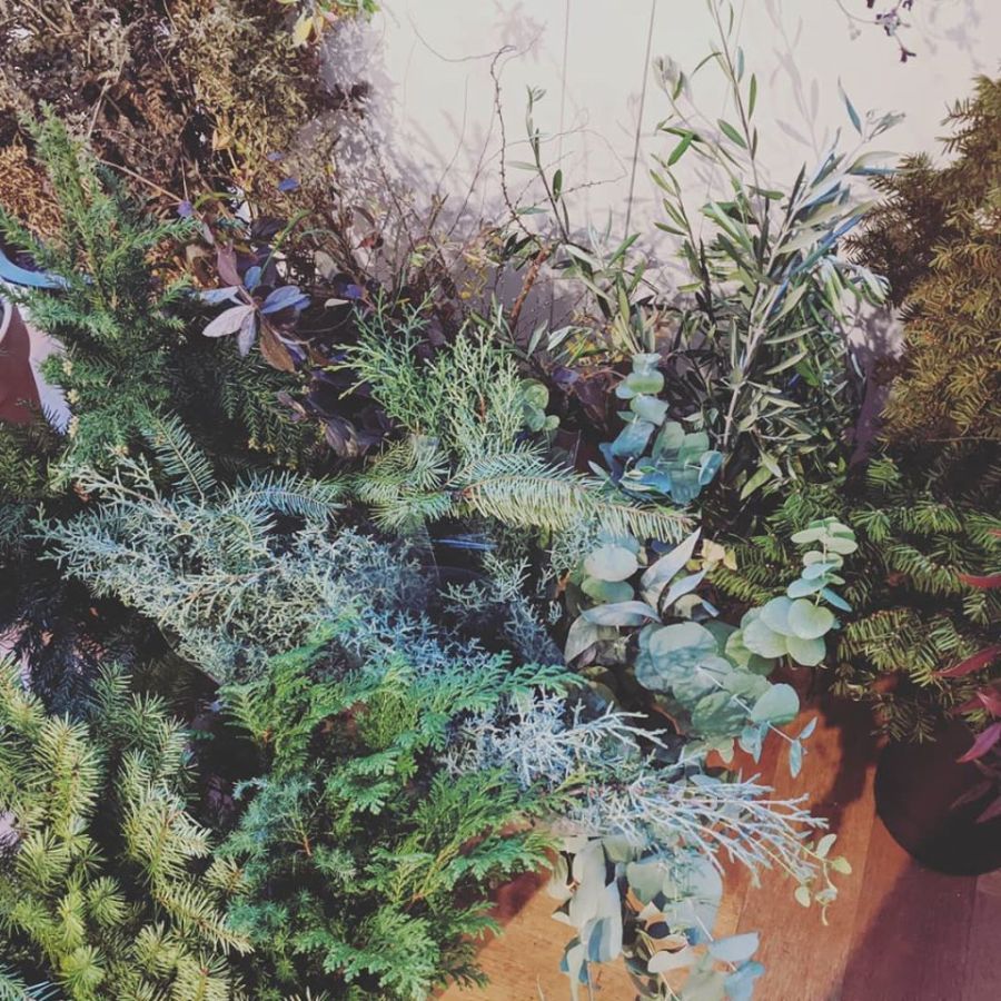 크리스마스 기념 리스, 콘트리 등(사진 많음)_5.jpg