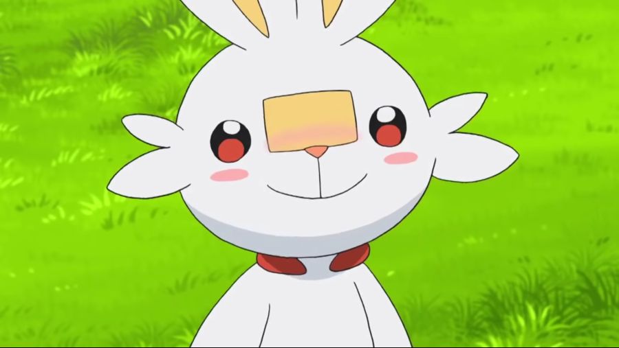 [포켓몬스터 2019] 귀요미 염버니_9.jpg