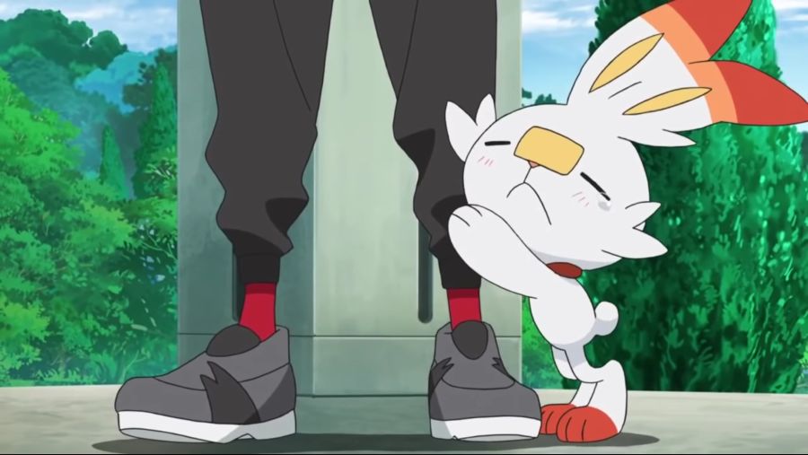 [포켓몬스터 2019] 귀요미 염버니_22.jpg