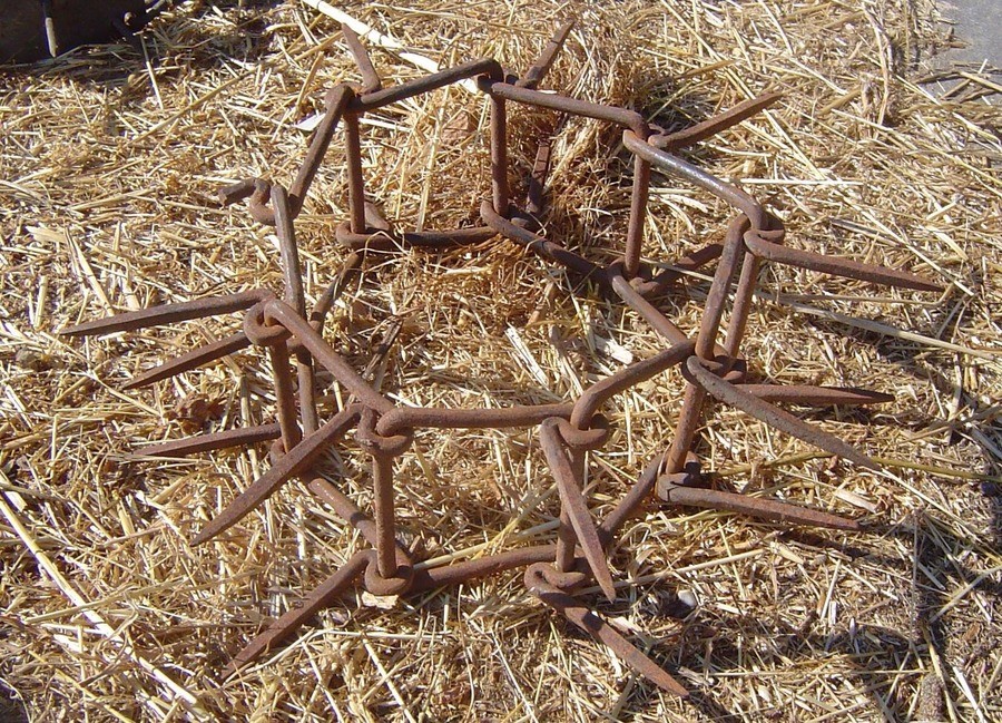 늑대 방어용 개 목걸이.JPG_1.jpg